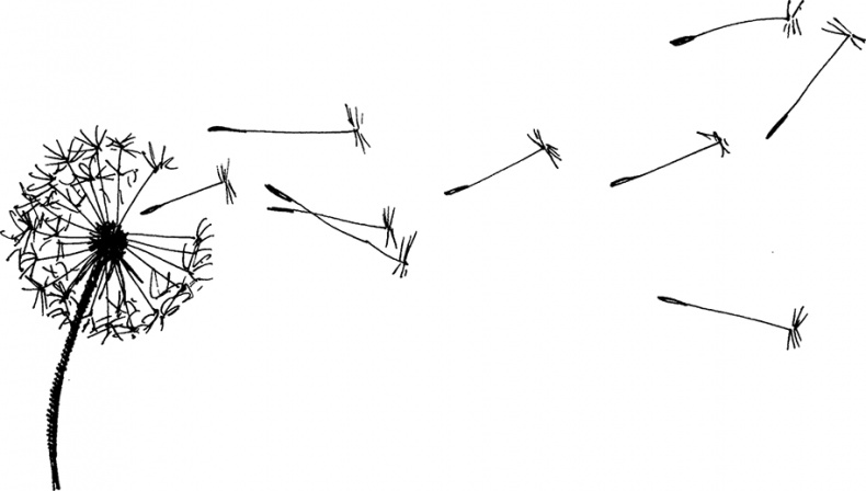 Иллюстрация к книге — Чудо с хвостиком [img_id04.jpg]