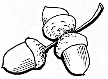 Иллюстрация к книге — Чудо с хвостиком [img_id10.jpg]