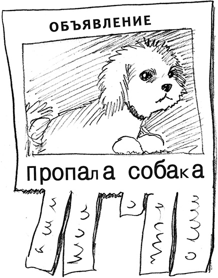 Иллюстрация к книге — Чудо с хвостиком [img_id14.jpg]