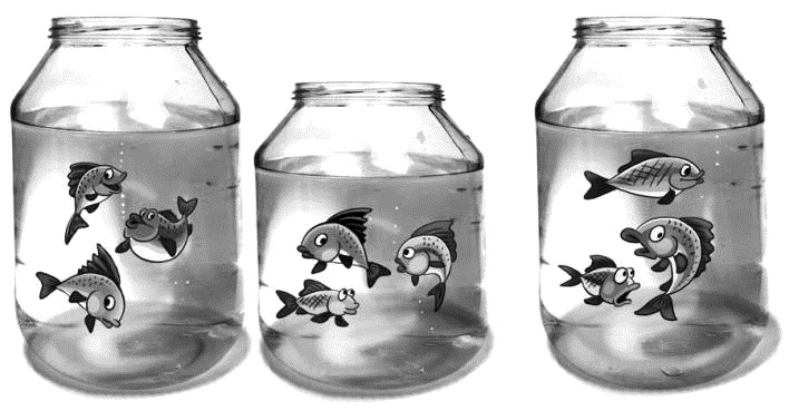 Иллюстрация к книге — Привидение – это к счастью [i_010.jpg]