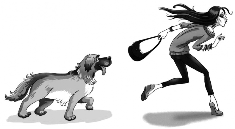 Иллюстрация к книге — Привидение – это к счастью [i_011.jpg]