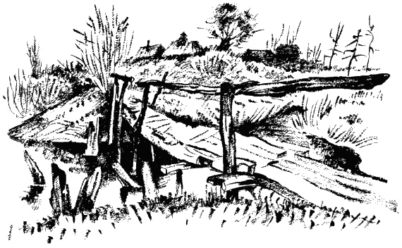 Иллюстрация к книге — Дела и ужасы Жени Осинкиной. Книга 2. Портрет неизвестной в белом [i_11.jpg]