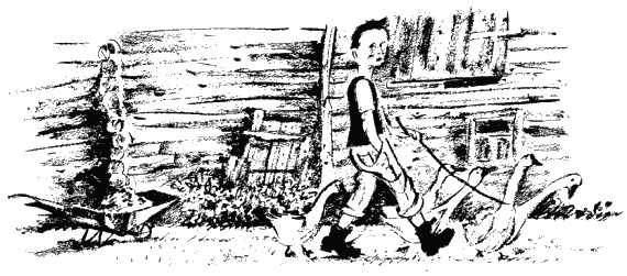 Иллюстрация к книге — Дела и ужасы Жени Осинкиной. Книга 2. Портрет неизвестной в белом [i_25.jpg]