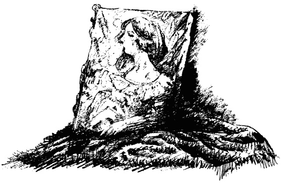 Иллюстрация к книге — Дела и ужасы Жени Осинкиной. Книга 2. Портрет неизвестной в белом [i_41.jpg]