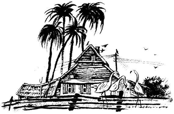 Иллюстрация к книге — Дела и ужасы Жени Осинкиной. Книга 2. Портрет неизвестной в белом [i_48.jpg]