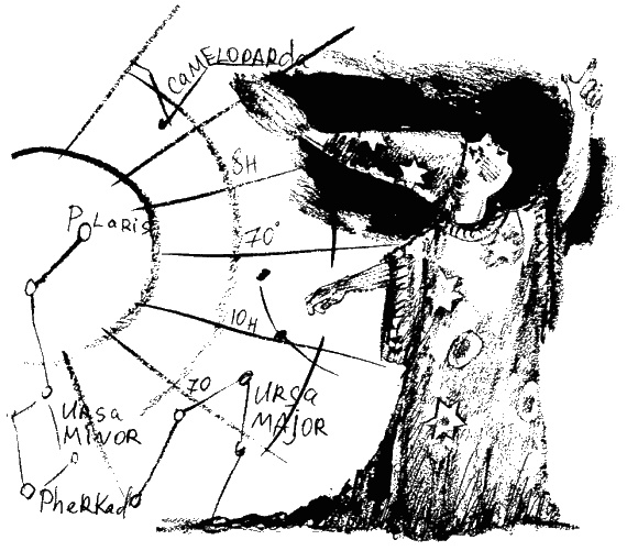Иллюстрация к книге — Дела и ужасы Жени Осинкиной. Книга 2. Портрет неизвестной в белом [i_51.jpg]