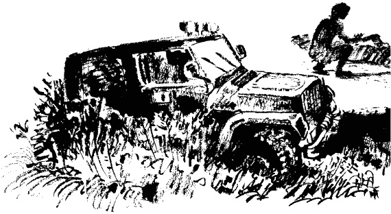 Иллюстрация к книге — Дела и ужасы Жени Осинкиной. Книга 2. Портрет неизвестной в белом [i_7.jpg]