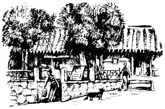 Иллюстрация к книге — Завещание поручика Зайончковского [i_002.jpg]