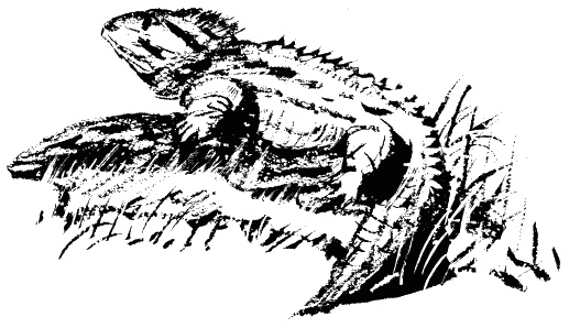 Иллюстрация к книге — Завещание поручика Зайончковского [i_021.jpg]