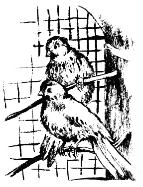 Иллюстрация к книге — Завещание поручика Зайончковского [i_029.jpg]