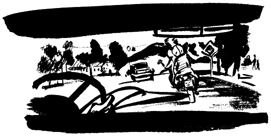 Иллюстрация к книге — Завещание поручика Зайончковского [i_047.jpg]