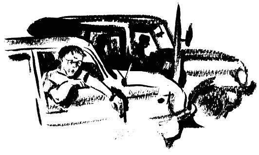 Иллюстрация к книге — Завещание поручика Зайончковского [i_049.jpg]