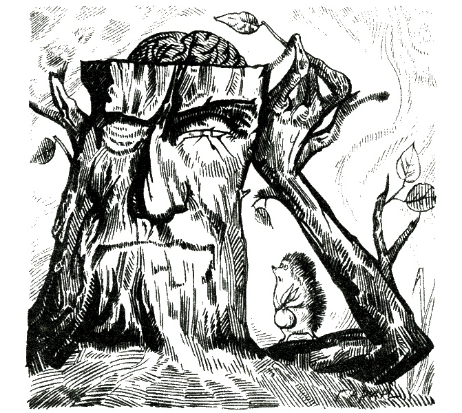 Иллюстрация к книге — Психиатрию - народу! Доктору - коньяк! [i_007.jpg]