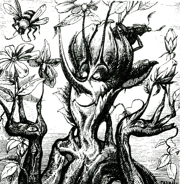 Иллюстрация к книге — Психиатрию - народу! Доктору - коньяк! [i_012.jpg]