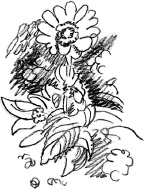 Иллюстрация к книге — С птицей на голове [i_004.jpg]