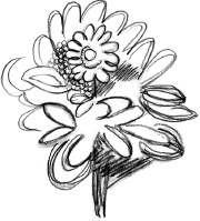 Иллюстрация к книге — С птицей на голове [i_013.jpg]