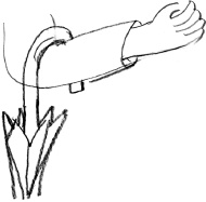 Иллюстрация к книге — С птицей на голове [i_014.jpg]