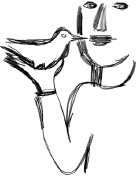 Иллюстрация к книге — С птицей на голове [i_019.jpg]