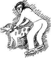 Иллюстрация к книге — С птицей на голове [i_026.jpg]