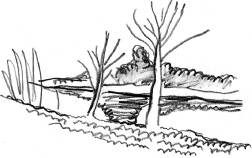 Иллюстрация к книге — С птицей на голове [i_027.jpg]