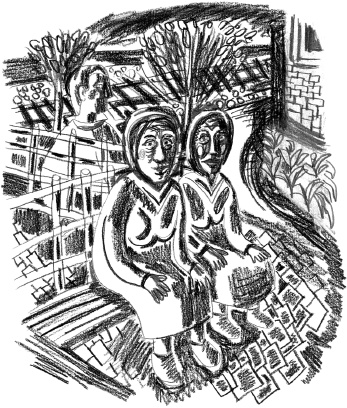 Иллюстрация к книге — С птицей на голове [i_040.jpg]