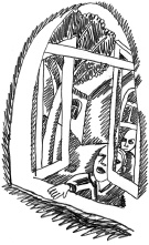 Иллюстрация к книге — С птицей на голове [i_042.jpg]