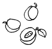 Иллюстрация к книге — Среда обитания приличной девушки [i_008.jpg]