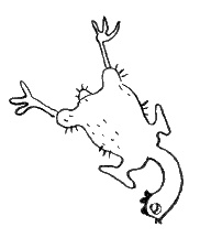 Иллюстрация к книге — Среда обитания приличной девушки [i_009.jpg]