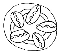 Иллюстрация к книге — Среда обитания приличной девушки [i_014.jpg]