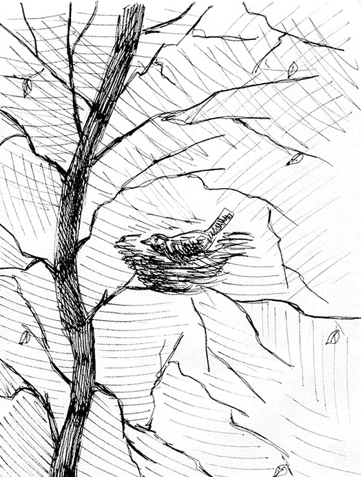 Иллюстрация к книге — Притчи@ру. 77 сентиментальных историй [Autogen_eBook_id43.jpg]