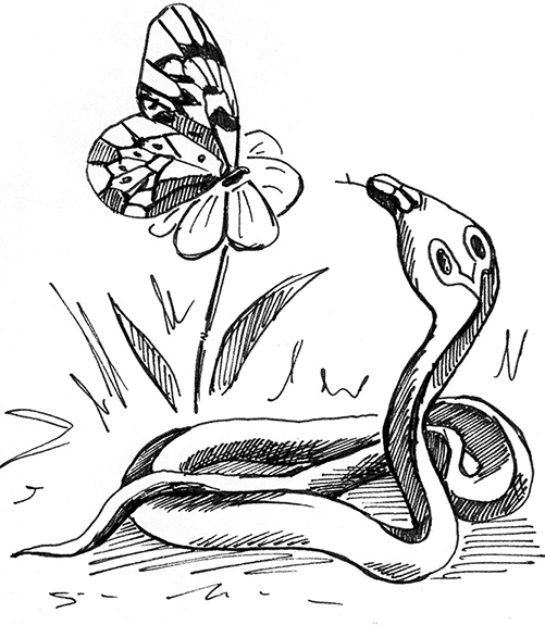 Иллюстрация к книге — Притчи@ру. Секрет счастья [Autogen_eBook_id12.jpg]