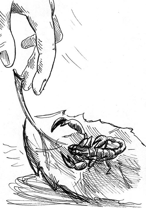 Иллюстрация к книге — Притчи@ру. Секрет счастья [Autogen_eBook_id25.jpg]