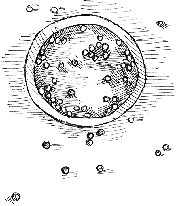 Иллюстрация к книге — Притчи@ру. Секрет счастья [Autogen_eBook_id38.jpg]