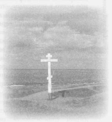 Иллюстрация к книге — Небесный огонь и другие рассказы [i_052.jpg]