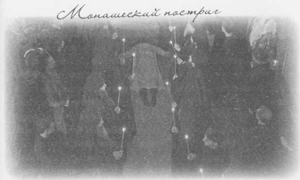 Иллюстрация к книге — Небесный огонь и другие рассказы [i_055.jpg]