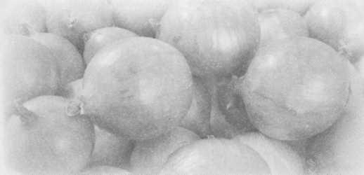 Иллюстрация к книге — Небесный огонь и другие рассказы [i_083.jpg]