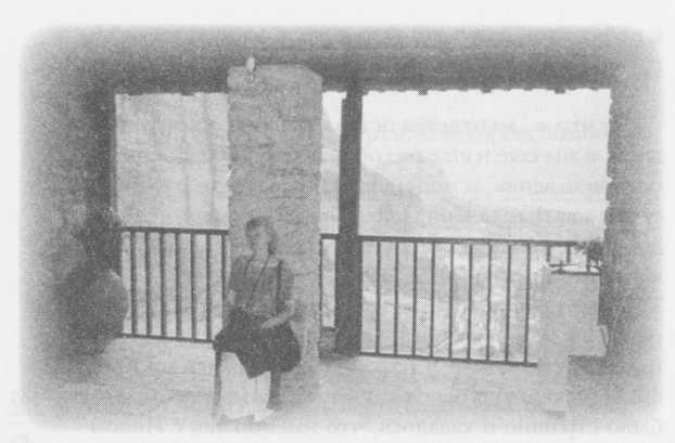 Иллюстрация к книге — Небесный огонь и другие рассказы [i_131.jpg]