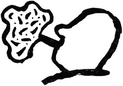 Иллюстрация к книге — Чужие сны и другие истории [i_007.jpg]