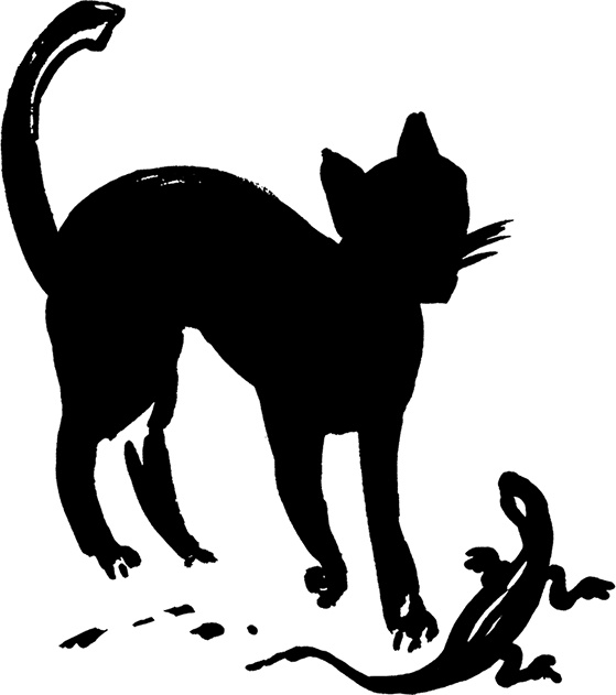 Иллюстрация к книге — Лестница Ламарка [Autogen_eBook_id2.jpg]