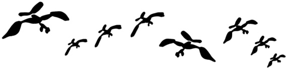 Иллюстрация к книге — Мост через канал Грибоедова [i_008.jpg]