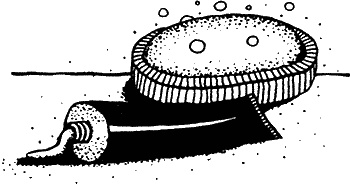 Иллюстрация к книге — Жизнь в мелкий цветочек [i_025.jpg]