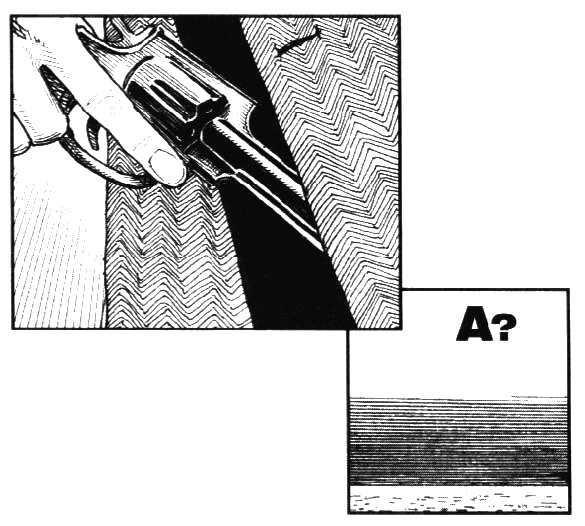 Иллюстрация к книге — Пражская ночь [i_101.jpg]