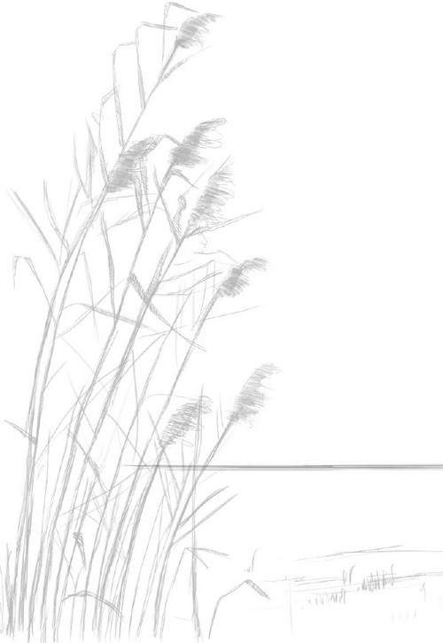 Иллюстрация к книге — О чем шептались фламинго [i_001.jpg]