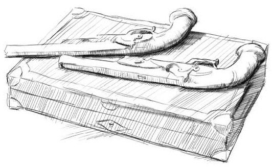 Иллюстрация к книге — О чем шептались фламинго [i_021.jpg]