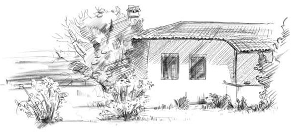 Иллюстрация к книге — О чем шептались фламинго [i_024.jpg]