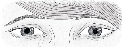 Иллюстрация к книге — Возвращение Юного принца [_06.jpg]