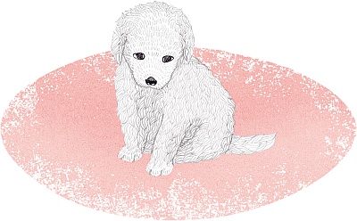 Иллюстрация к книге — Возвращение Юного принца [_08.jpg]