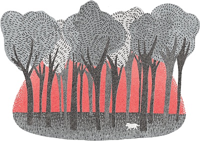 Иллюстрация к книге — Возвращение Юного принца [_13.jpg]