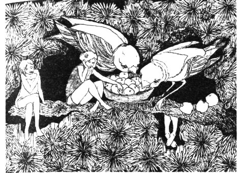 Иллюстрация к книге — Лечебный факультет, или Спасти лягушку [_10.jpg]