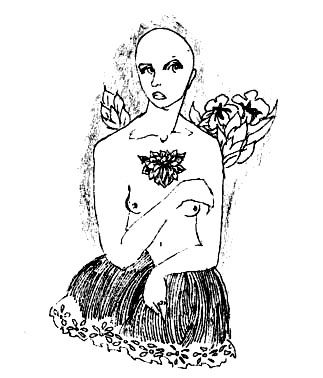 Иллюстрация к книге — Лечебный факультет, или Спасти лягушку [_11.jpg]